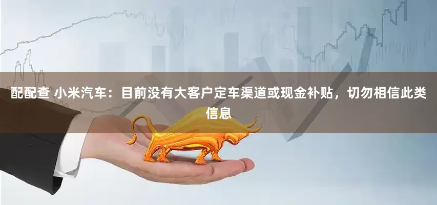 配配查 小米汽车：目前没有大客户定车渠道或现金补贴，切勿相信此类信息
