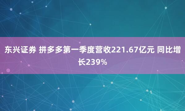 东兴证券 拼多多第一季度营收221.67亿元 同比增长239%