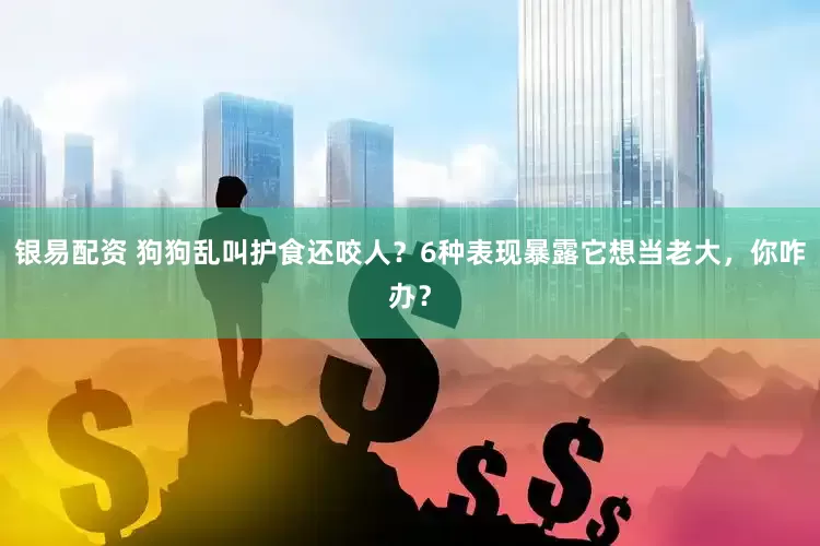 银易配资 狗狗乱叫护食还咬人？6种表现暴露它想当老大，你咋办？