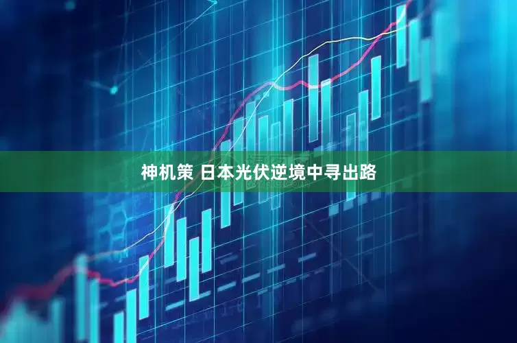 神机策 日本光伏逆境中寻出路