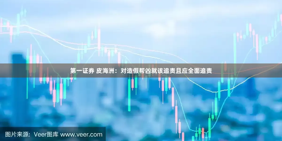 第一证券 皮海洲：对造假帮凶就该追责且应全面追责