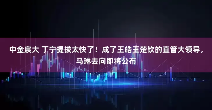 中金宸大 丁宁提拔太快了！成了王皓王楚钦的直管大领导，马琳去向即将公布