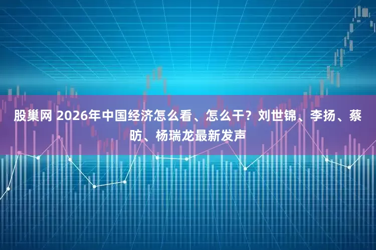 股巢网 2026年中国经济怎么看、怎么干？刘世锦、李扬、蔡昉、杨瑞龙最新发声