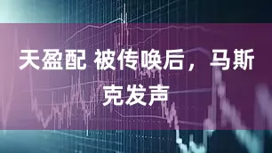 天盈配 被传唤后，马斯克发声